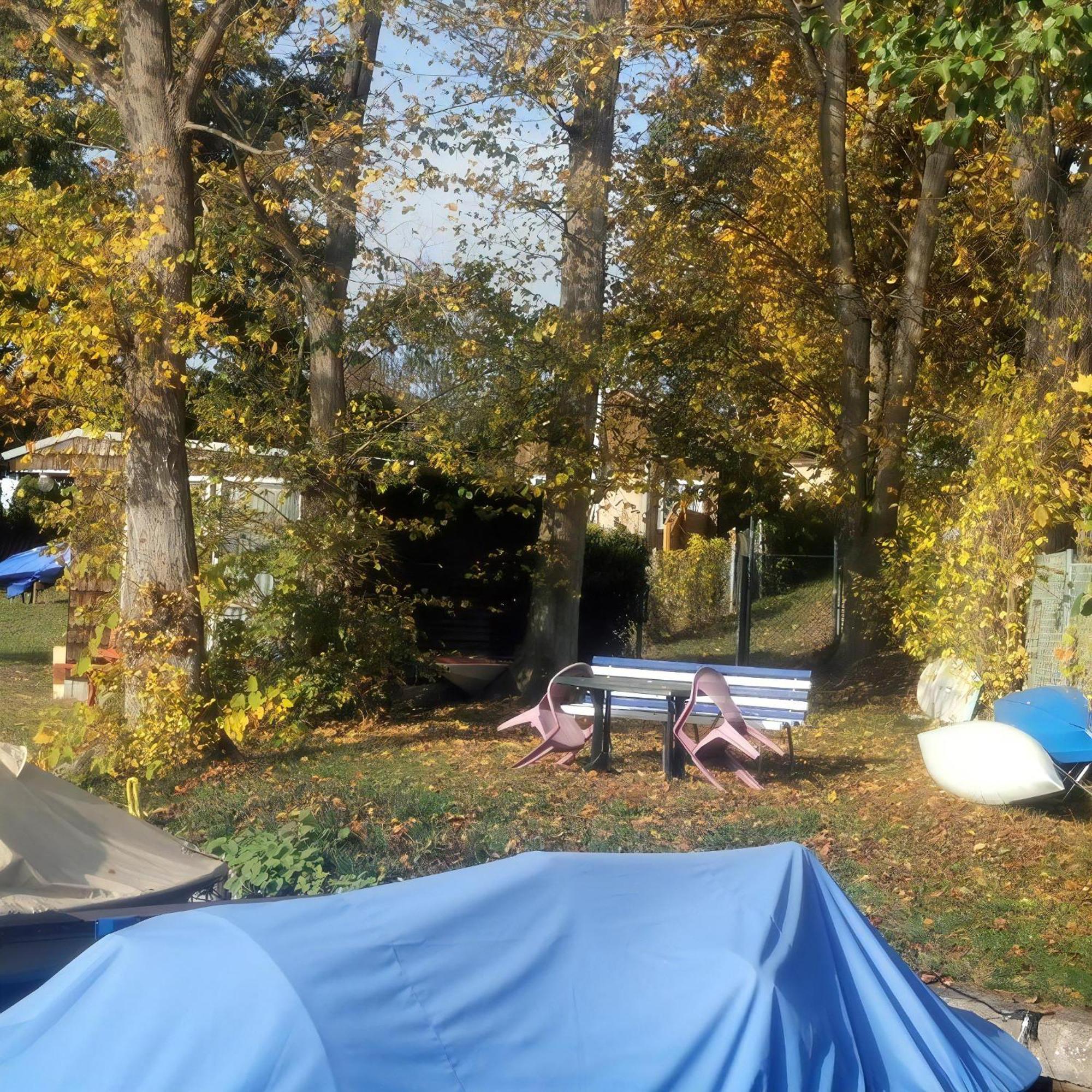 Ferienhaus In Mueggelheim Mit Eigener Terrasse Berlin Eksteriør billede